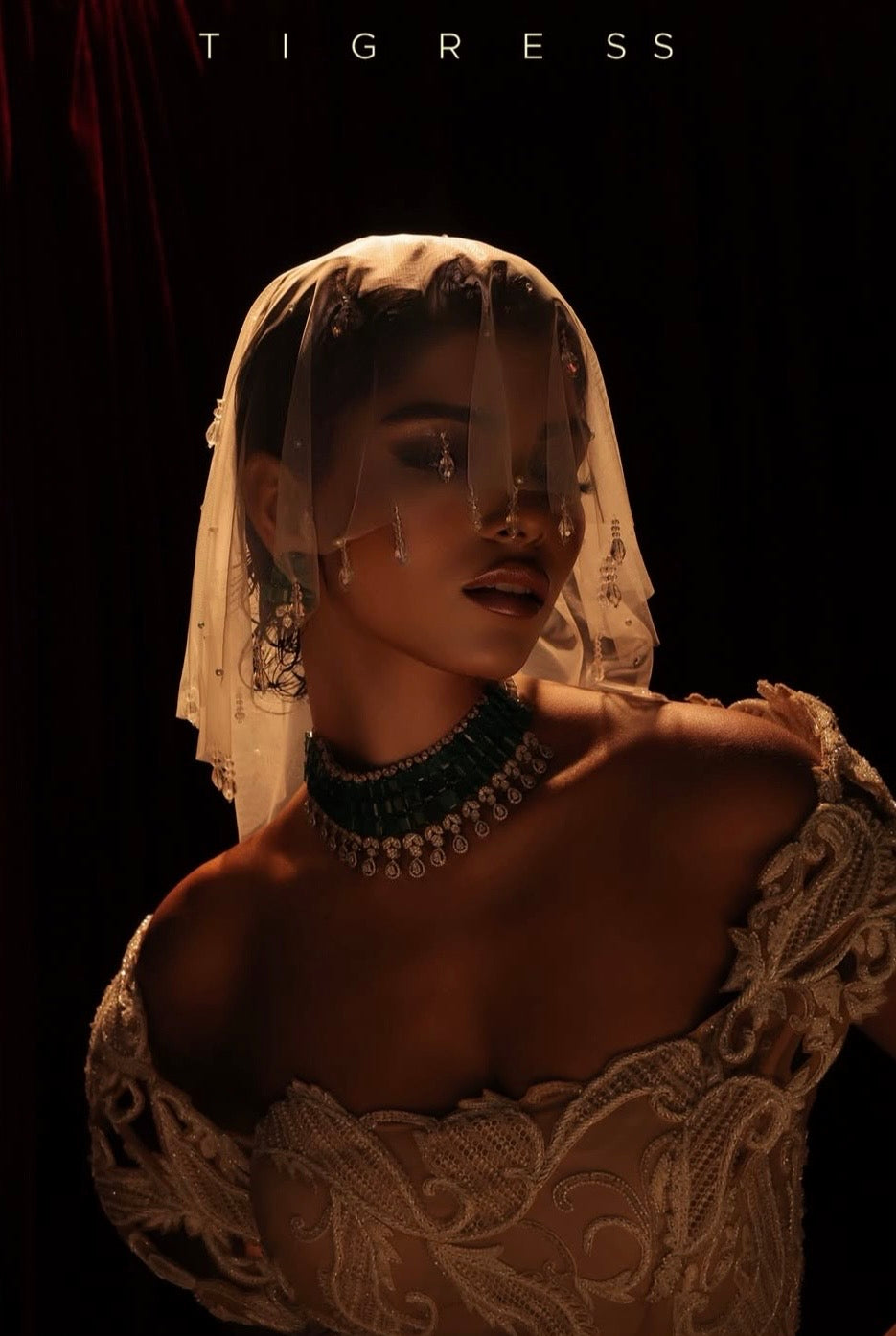 A women in shadow photo studio lighting wearing white gown and micro veil